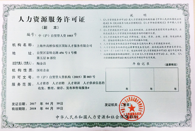 上海信息咨詢服務 專業(yè)導航，智啟未來